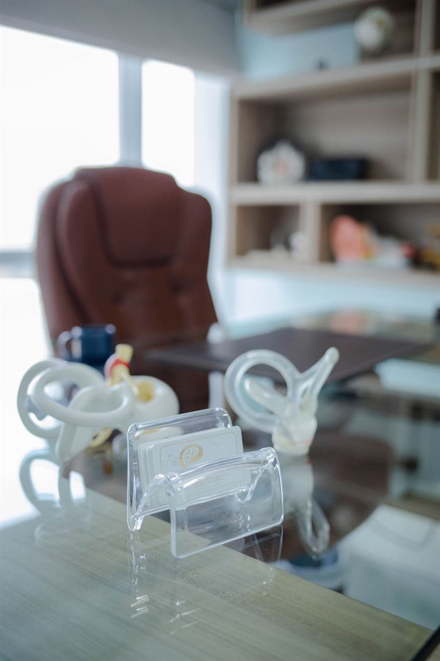 Modelos anatômicos do labirinto e dos canais semicirculares sobre a mesa do consultório